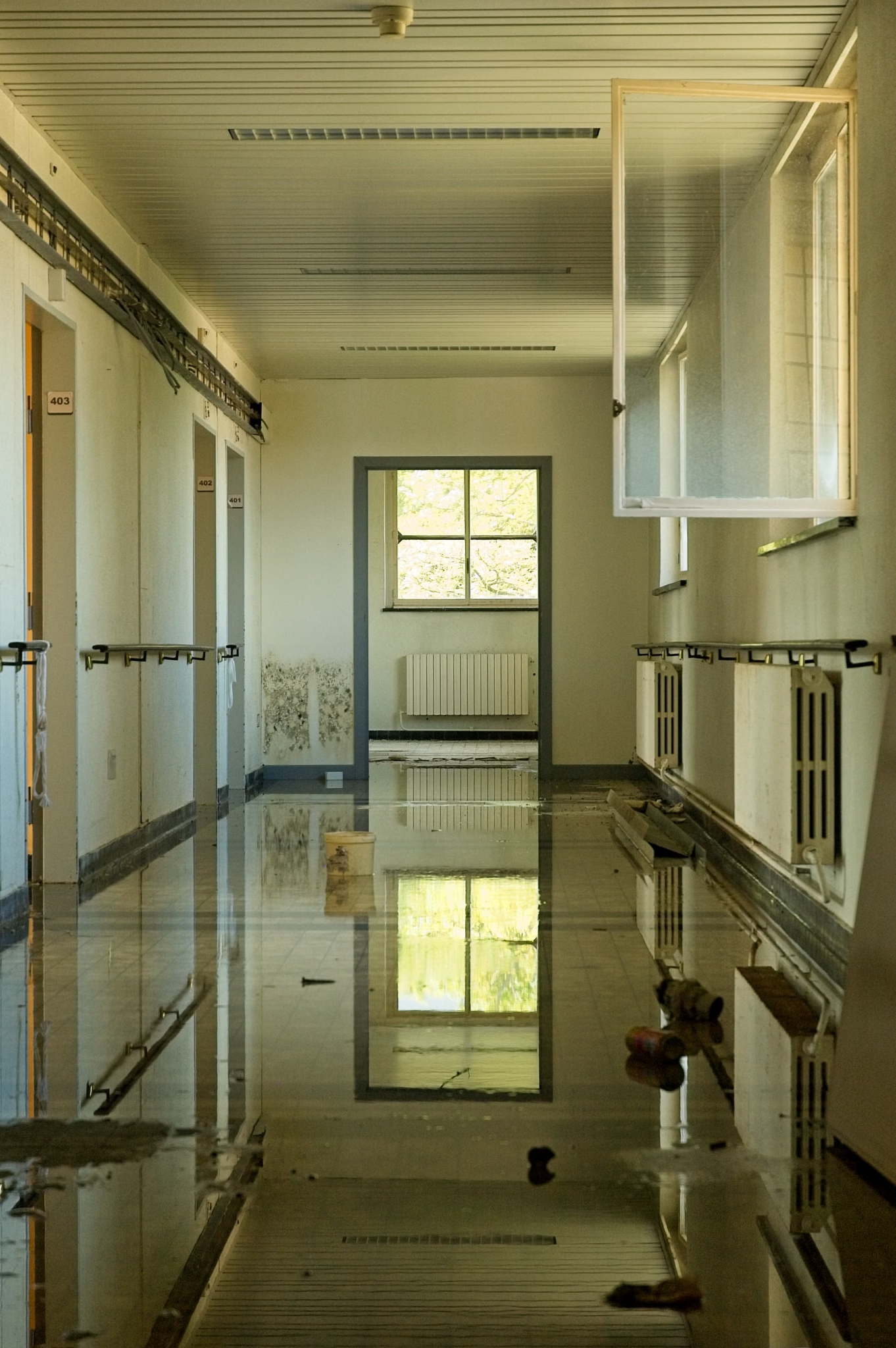What Happens During Water Damage Restoration and Why Each Step Matters